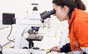laboratorioglobalbrightbars_comprometidosconlamaximacalidad_group