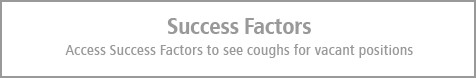 Botón-Success-Factors-ENG-CELSA Group