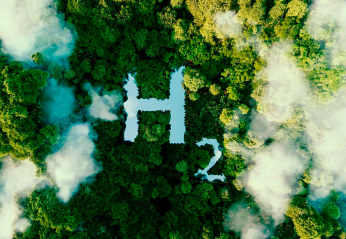 Bosque con el escrito de H2